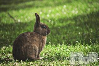 上越デリヘル 上越風俗出張アロママッサージ(ジョウエツフウゾクシュッチョウアロママッサージ) ゆずき☆(37)の11月7日写メブログ「ありがとうございました♡」