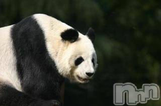 上越デリヘル 上越風俗出張アロママッサージ(ジョウエツフウゾクシュッチョウアロママッサージ) ゆずき☆(37)の11月27日写メブログ「ありがとうございました♡」