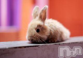 上越デリヘル 上越風俗出張アロママッサージ(ジョウエツフウゾクシュッチョウアロママッサージ) ゆずき☆(37)の11月28日写メブログ「ありがとうございました♡」