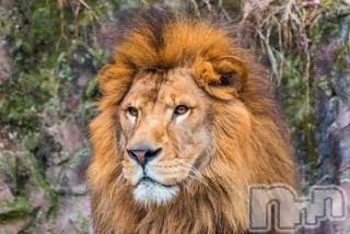 上越デリヘル 上越風俗出張アロママッサージ(ジョウエツフウゾクシュッチョウアロママッサージ) ゆずき☆(37)の11月28日写メブログ「ありがとうございました♡」