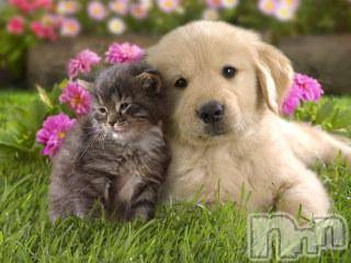 上越デリヘル 上越風俗出張アロママッサージ(ジョウエツフウゾクシュッチョウアロママッサージ) ゆずき☆(37)の11月30日写メブログ「ありがとうございました♡」