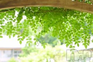 上越デリヘル 上越風俗出張アロママッサージ(ジョウエツフウゾクシュッチョウアロママッサージ) ゆずき☆(37)の5月2日写メブログ「ありがとうございました♡」