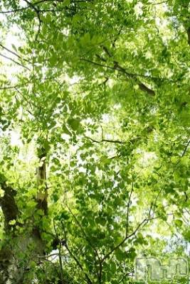 上越デリヘル 上越風俗出張アロママッサージ(ジョウエツフウゾクシュッチョウアロママッサージ) ゆずき☆(37)の5月2日写メブログ「ありがとうございました♡」