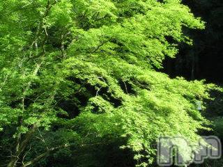 上越デリヘル 上越風俗出張アロママッサージ(ジョウエツフウゾクシュッチョウアロママッサージ) ゆずき☆(37)の5月25日写メブログ「ありがとうございました♡」