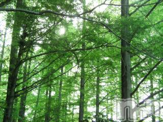 上越デリヘル 上越風俗出張アロママッサージ(ジョウエツフウゾクシュッチョウアロママッサージ) ゆずき☆(37)の5月25日写メブログ「ありがとうございました♡」