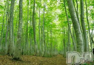 上越デリヘル 上越風俗出張アロママッサージ(ジョウエツフウゾクシュッチョウアロママッサージ) ゆずき☆(37)の6月14日写メブログ「ありがとうございました♡」