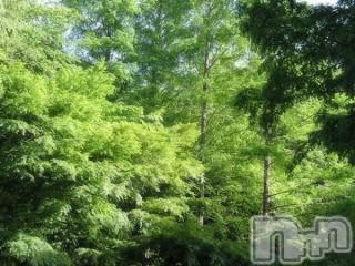 上越デリヘル 上越風俗出張アロママッサージ(ジョウエツフウゾクシュッチョウアロママッサージ) ゆずき☆(37)の6月14日写メブログ「ありがとうございました♡」