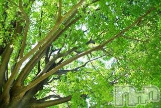 上越デリヘル 上越風俗出張アロママッサージ(ジョウエツフウゾクシュッチョウアロママッサージ) ゆずき☆(37)の6月24日写メブログ「ありがとうございました♡」