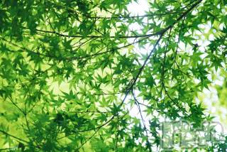 上越デリヘル 上越風俗出張アロママッサージ(ジョウエツフウゾクシュッチョウアロママッサージ) ゆずき☆(37)の6月24日写メブログ「ありがとうございました♡」