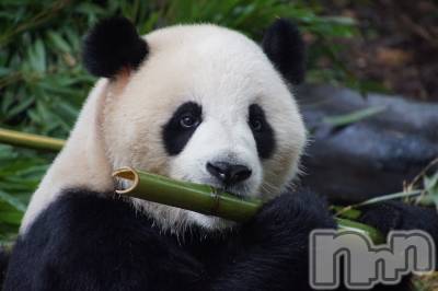 上越デリヘル 上越風俗出張アロママッサージ(ジョウエツフウゾクシュッチョウアロママッサージ) ゆずき☆(37)の9月10日写メブログ「ありがとうございました♡」