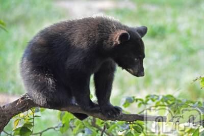 上越デリヘル 上越風俗出張アロママッサージ(ジョウエツフウゾクシュッチョウアロママッサージ) ゆずき☆(37)の9月10日写メブログ「ありがとうございました♡」