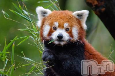 上越デリヘル 上越風俗出張アロママッサージ(ジョウエツフウゾクシュッチョウアロママッサージ) ゆずき☆(37)の9月10日写メブログ「ありがとうございました♡」