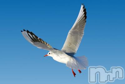 上越デリヘル 上越風俗出張アロママッサージ(ジョウエツフウゾクシュッチョウアロママッサージ) ゆずき☆(37)の9月10日写メブログ「ありがとうございました♡」