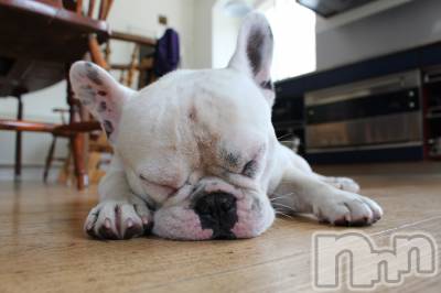 上越デリヘル 上越風俗出張アロママッサージ(ジョウエツフウゾクシュッチョウアロママッサージ) ゆずき☆(37)の9月18日写メブログ「ありがとうございました♡」