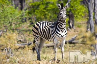 上越デリヘル 上越風俗出張アロママッサージ(ジョウエツフウゾクシュッチョウアロママッサージ) ゆずき☆(37)の9月20日写メブログ「ありがとうございました♡」