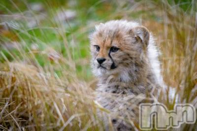 上越デリヘル 上越風俗出張アロママッサージ(ジョウエツフウゾクシュッチョウアロママッサージ) ゆずき☆(37)の9月20日写メブログ「ありがとうございました♡」