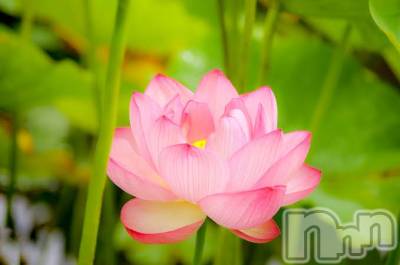 上越デリヘル 上越風俗出張アロママッサージ(ジョウエツフウゾクシュッチョウアロママッサージ) ゆずき☆(37)の9月29日写メブログ「ありがとうございました♡」