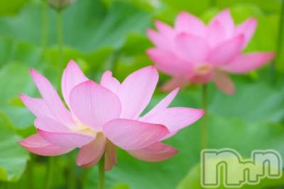 上越デリヘル 上越風俗出張アロママッサージ(ジョウエツフウゾクシュッチョウアロママッサージ) ゆずき☆(37)の9月29日写メブログ「ありがとうございました♡」