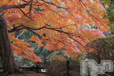 上越デリヘル 上越風俗出張アロママッサージ(ジョウエツフウゾクシュッチョウアロママッサージ) ゆずき☆(37)の10月19日写メブログ「ありがとうございました♡」