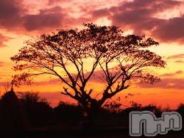 上越デリヘル 上越風俗出張アロママッサージ(ジョウエツフウゾクシュッチョウアロママッサージ) ゆずき☆(37)の11月1日写メブログ「ありがとうございました♡」