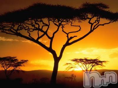 上越デリヘル 上越風俗出張アロママッサージ(ジョウエツフウゾクシュッチョウアロママッサージ) ゆずき☆(37)の11月1日写メブログ「ありがとうございました♡」