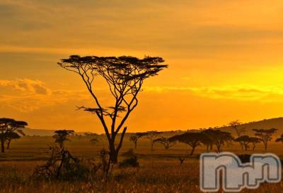 上越デリヘル 上越風俗出張アロママッサージ(ジョウエツフウゾクシュッチョウアロママッサージ) ゆずき☆(37)の11月1日写メブログ「ありがとうございました♡」