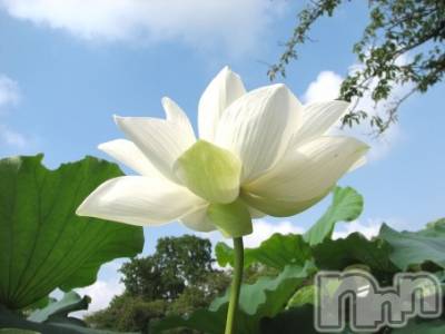 上越デリヘル 上越風俗出張アロママッサージ(ジョウエツフウゾクシュッチョウアロママッサージ) ゆずき☆(37)の12月26日写メブログ「ありがとうございました♡」