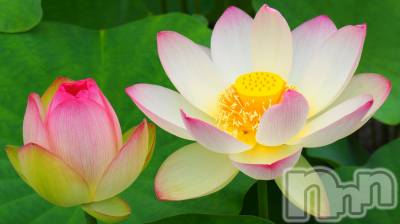 上越デリヘル 上越風俗出張アロママッサージ(ジョウエツフウゾクシュッチョウアロママッサージ) ゆずき☆(37)の12月26日写メブログ「ありがとうございました♡」