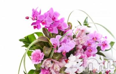 上越デリヘル 上越風俗出張アロママッサージ(ジョウエツフウゾクシュッチョウアロママッサージ) ゆずき☆(37)の3月28日写メブログ「ありがとうございました街」