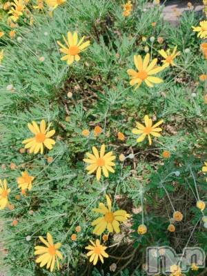 上越デリヘル 上越風俗出張アロママッサージ(ジョウエツフウゾクシュッチョウアロママッサージ) ゆずき☆(37)の6月5日写メブログ「本日も♡」