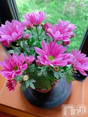 上越デリヘル 上越風俗出張アロママッサージ(ジョウエツフウゾクシュッチョウアロママッサージ) ゆずき☆(37)の6月14日写メブログ「本日も♡」