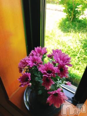 上越デリヘル 上越風俗出張アロママッサージ(ジョウエツフウゾクシュッチョウアロママッサージ) ゆずき☆(37)の6月15日写メブログ「デジャヴ♡」