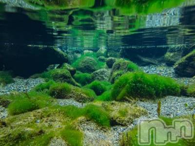 上越デリヘル 上越風俗出張アロママッサージ(ジョウエツフウゾクシュッチョウアロママッサージ) ゆずき☆(37)の7月5日写メブログ「ありがとうございました♡」