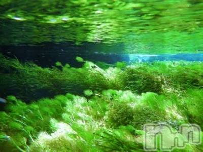 上越デリヘル 上越風俗出張アロママッサージ(ジョウエツフウゾクシュッチョウアロママッサージ) ゆずき☆(37)の7月5日写メブログ「ありがとうございました♡」