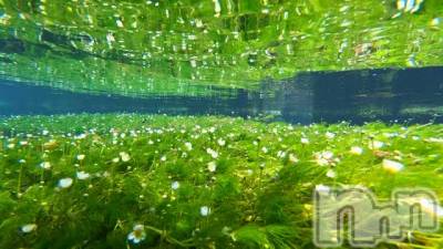 上越デリヘル 上越風俗出張アロママッサージ(ジョウエツフウゾクシュッチョウアロママッサージ) ゆずき☆(37)の7月5日写メブログ「ありがとうございました♡」