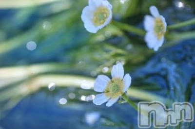 上越デリヘル 上越風俗出張アロママッサージ(ジョウエツフウゾクシュッチョウアロママッサージ) ゆずき☆(37)の8月8日写メブログ「ありがとうございました♡」