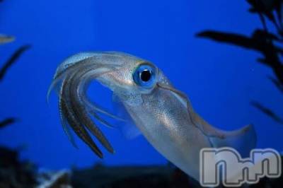 上越デリヘル 上越風俗出張アロママッサージ(ジョウエツフウゾクシュッチョウアロママッサージ) ゆずき☆(37)の9月28日写メブログ「ありがとうございました♡」