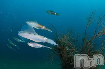 上越デリヘル 上越風俗出張アロママッサージ(ジョウエツフウゾクシュッチョウアロママッサージ) ゆずき☆(37)の9月28日写メブログ「ありがとうございました♡」