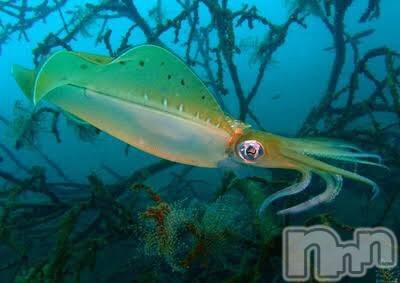 上越デリヘル 上越風俗出張アロママッサージ(ジョウエツフウゾクシュッチョウアロママッサージ) ゆずき☆(37)の10月6日写メブログ「ありがとうございました♡」