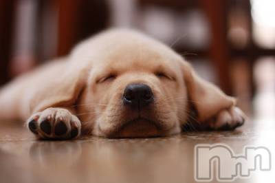 上越デリヘル 上越風俗出張アロママッサージ(ジョウエツフウゾクシュッチョウアロママッサージ) ゆずき☆(37)の10月8日写メブログ「ありがとうございました♡」