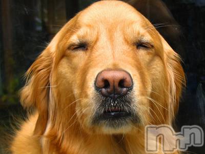 上越デリヘル 上越風俗出張アロママッサージ(ジョウエツフウゾクシュッチョウアロママッサージ) ゆずき☆(37)の10月9日写メブログ「ありがとうございました♡」