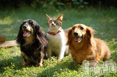 上越デリヘル 上越風俗出張アロママッサージ(ジョウエツフウゾクシュッチョウアロママッサージ) ゆずき☆(37)の10月9日写メブログ「ありがとうございました♡」