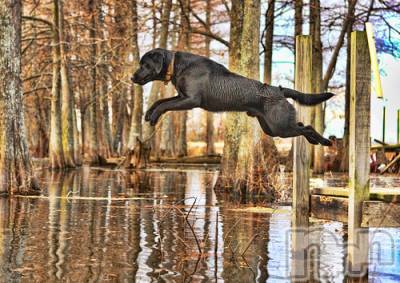 上越デリヘル 上越風俗出張アロママッサージ(ジョウエツフウゾクシュッチョウアロママッサージ) ゆずき☆(37)の10月20日写メブログ「ありがとうございました♡」