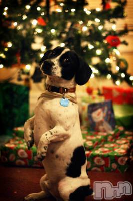 上越デリヘル 上越風俗出張アロママッサージ(ジョウエツフウゾクシュッチョウアロママッサージ) ゆずき☆(37)の10月21日写メブログ「ありがとうございました♡」