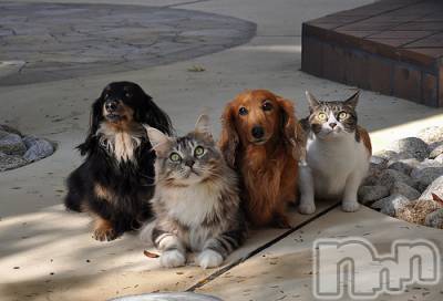 上越デリヘル 上越風俗出張アロママッサージ(ジョウエツフウゾクシュッチョウアロママッサージ) ゆずき☆(37)の10月21日写メブログ「ありがとうございました♡」