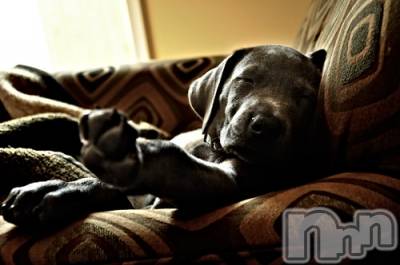 上越デリヘル 上越風俗出張アロママッサージ(ジョウエツフウゾクシュッチョウアロママッサージ) ゆずき☆(37)の10月21日写メブログ「ありがとうございました♡」