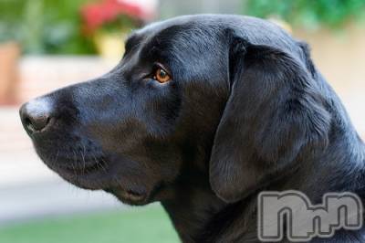 上越デリヘル 上越風俗出張アロママッサージ(ジョウエツフウゾクシュッチョウアロママッサージ) ゆずき☆(37)の10月21日写メブログ「ありがとうございました♡」