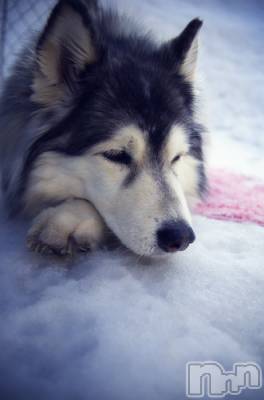 上越デリヘル 上越風俗出張アロママッサージ(ジョウエツフウゾクシュッチョウアロママッサージ) ゆずき☆(37)の10月31日写メブログ「ありがとうございました♡」