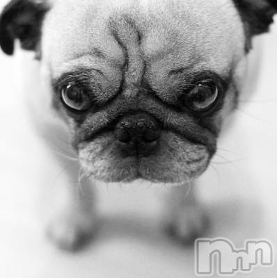 上越デリヘル 上越風俗出張アロママッサージ(ジョウエツフウゾクシュッチョウアロママッサージ) ゆずき☆(37)の10月31日写メブログ「ありがとうございました♡」