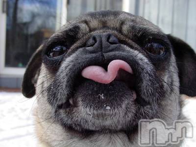 上越デリヘル 上越風俗出張アロママッサージ(ジョウエツフウゾクシュッチョウアロママッサージ) ゆずき☆(37)の11月1日写メブログ「ありがとうございました♡」